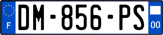 DM-856-PS