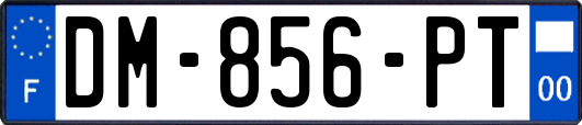 DM-856-PT