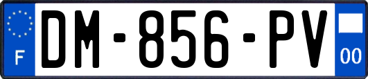 DM-856-PV