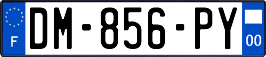 DM-856-PY
