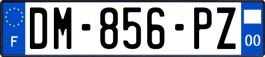 DM-856-PZ