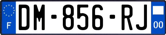 DM-856-RJ