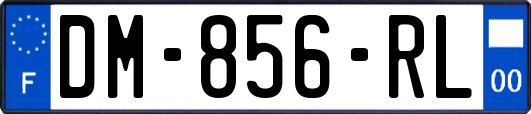 DM-856-RL