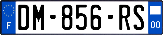 DM-856-RS