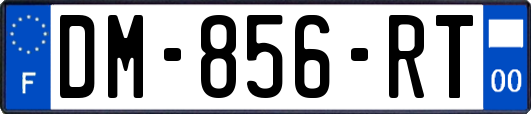 DM-856-RT