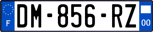 DM-856-RZ