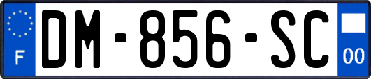 DM-856-SC