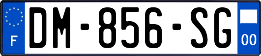 DM-856-SG
