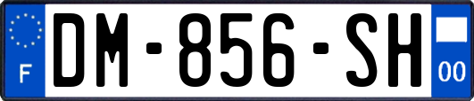 DM-856-SH