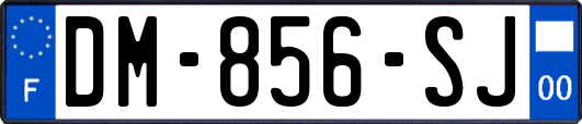 DM-856-SJ