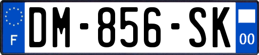 DM-856-SK