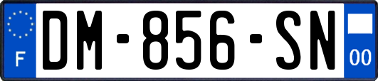 DM-856-SN