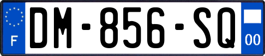 DM-856-SQ