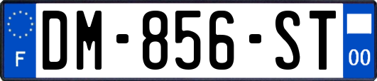 DM-856-ST