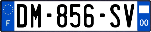 DM-856-SV