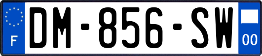 DM-856-SW