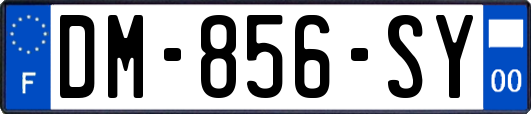 DM-856-SY
