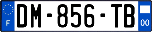 DM-856-TB