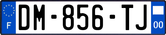 DM-856-TJ