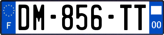 DM-856-TT