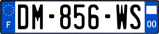 DM-856-WS