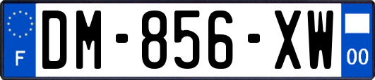 DM-856-XW