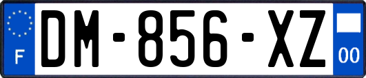 DM-856-XZ