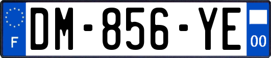 DM-856-YE