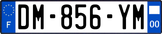 DM-856-YM