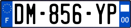 DM-856-YP