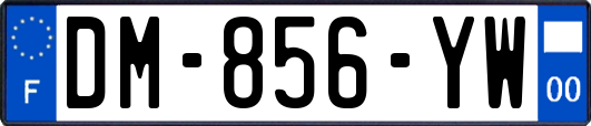 DM-856-YW