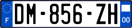 DM-856-ZH