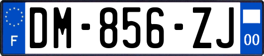 DM-856-ZJ