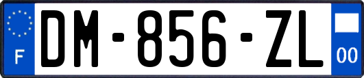 DM-856-ZL