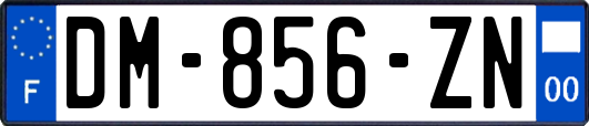 DM-856-ZN