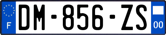 DM-856-ZS