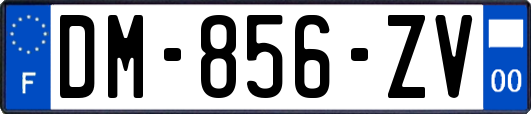 DM-856-ZV