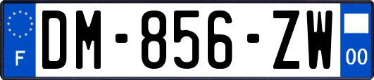 DM-856-ZW