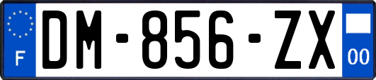 DM-856-ZX