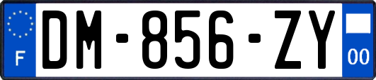 DM-856-ZY