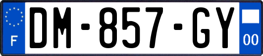 DM-857-GY