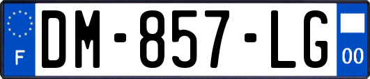 DM-857-LG