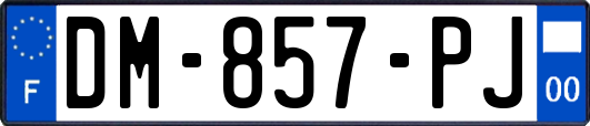 DM-857-PJ