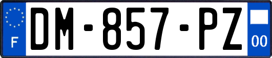 DM-857-PZ