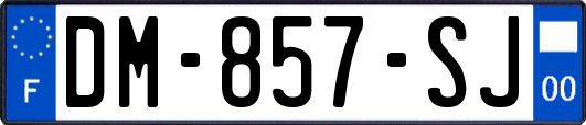 DM-857-SJ