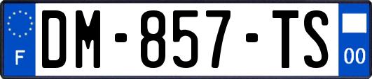 DM-857-TS