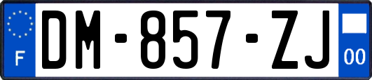 DM-857-ZJ