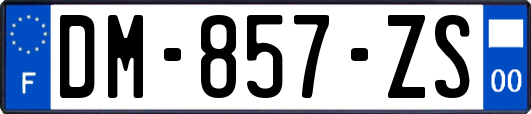 DM-857-ZS