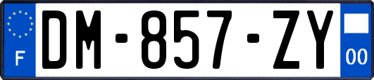 DM-857-ZY