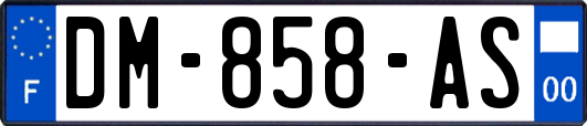 DM-858-AS